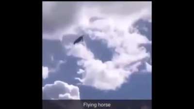Caballo que vuela