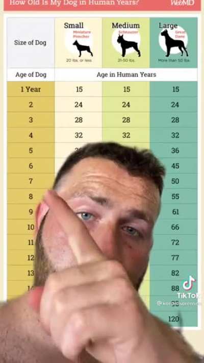 Dogs age