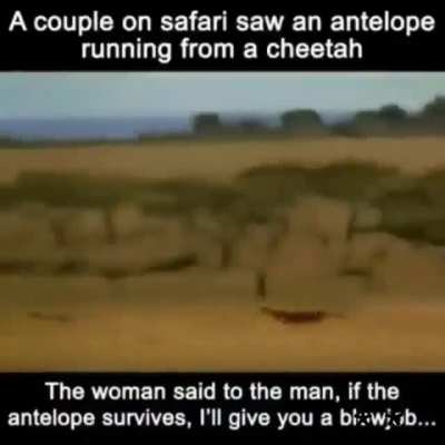 You shouldn't have said that dear