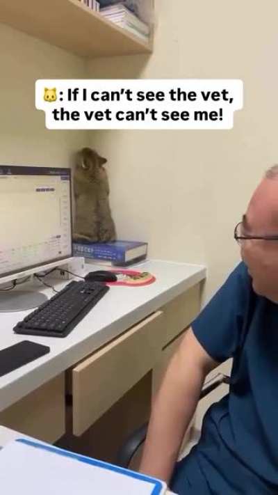 Cat logic