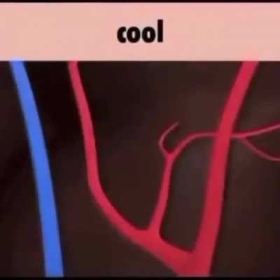 Cool