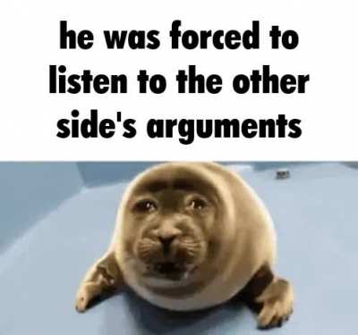 nooooo my echo chamber