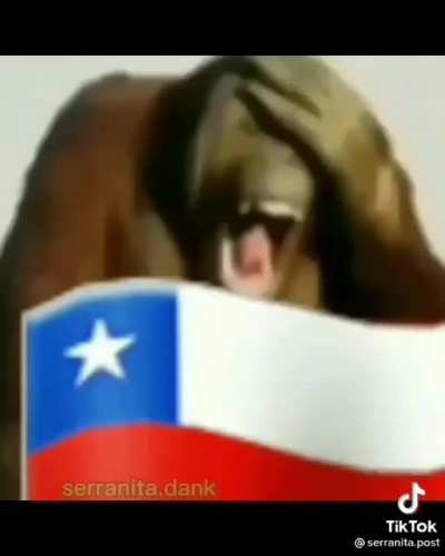 Jajaja