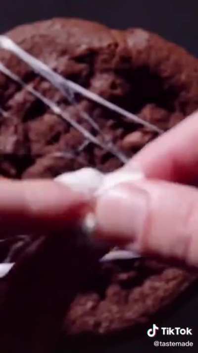 Are you sure that supposed to be cobweb?