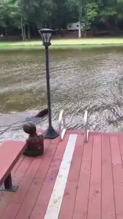 Dog saves owner from drowning