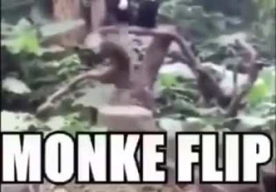 monke flip
