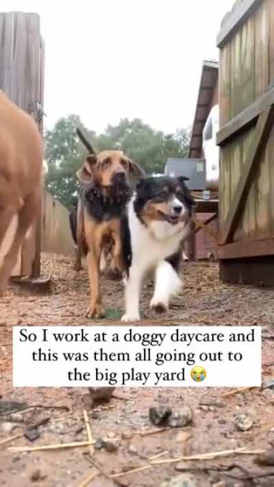 The best day ever!