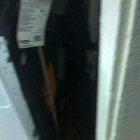 hide and seek with a mouse