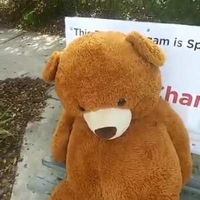 Mr. Grizzly Mr. Grizzly