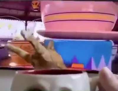Disneyland at Home