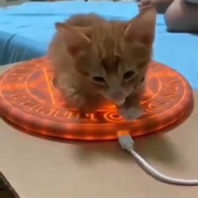 Evil Wunk