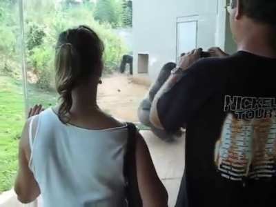 QUE NO SE PIERDAN LAS BUENAS COSTUMBRES 🐒 🔥 V2
