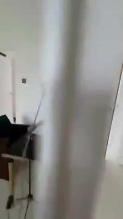 Хитрюга