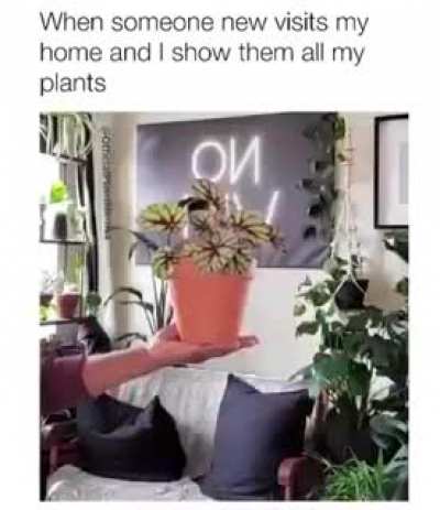 So relatable.