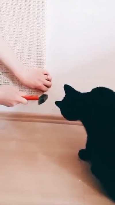 Are you sure you're doing it right?