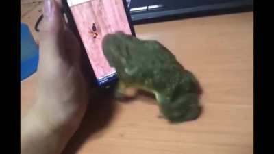 F