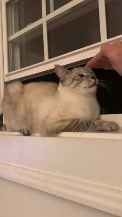 don’t touch (just a little yell)