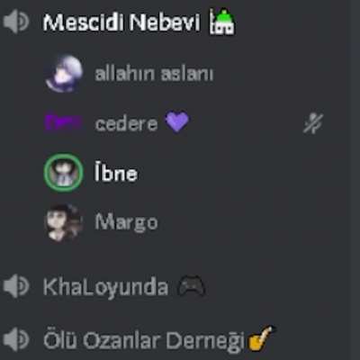 İBNEEEEEEE