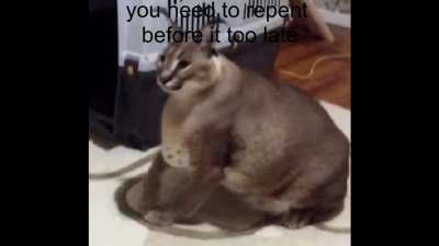 Praise Allah!