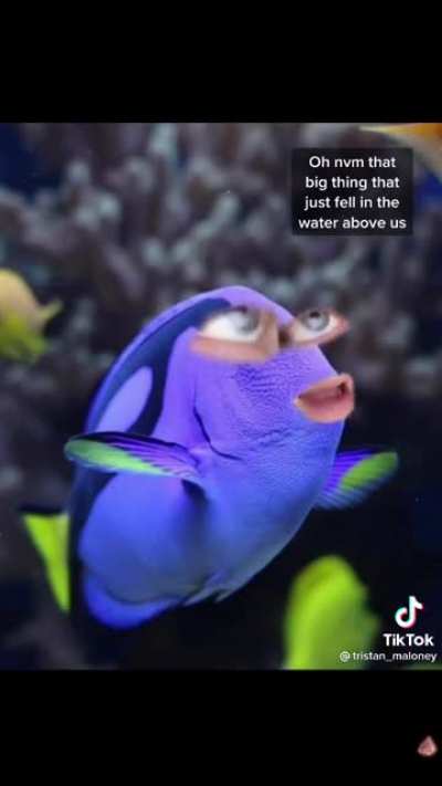 Once you go bass
