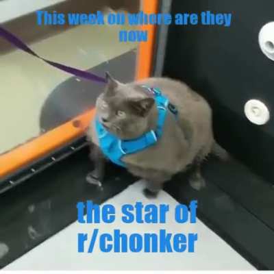 shes crying in pain so whosome look at her little chonker legs go 😍🤣