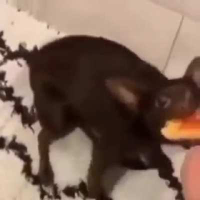 Buaaaa