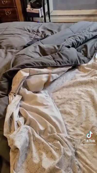 Where's Winston?