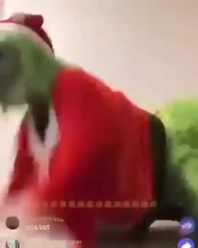 wow.
