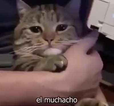 El Muchacho :(