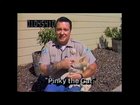 The Loveable Pinky the Cat