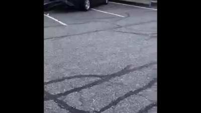 Gunman flees after publically killing correctional officer in a busy Walmart Parking lot in North Delta, BC Canada (+AFT<wbr>ERMAT<wbr>H)(cr<wbr>edit @ezra<wbr>there<wbr>alist<wbr>)