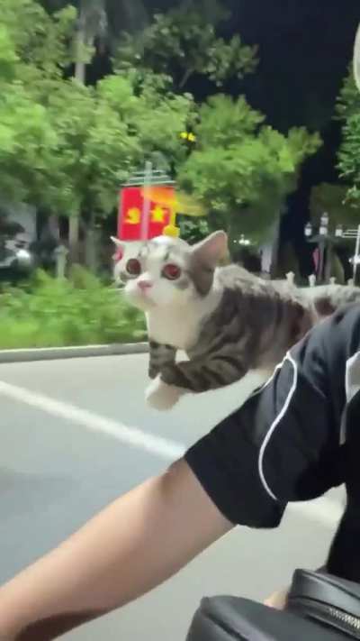 Real life Doraemon