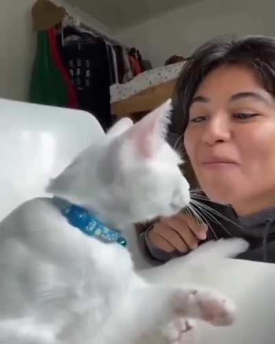 touch tha face