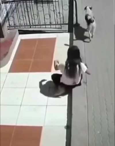 man’s best friend