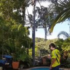 Attempting to cross a pool on a flimsy piece of wood