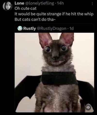 wunky bat