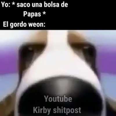 🇼 🇹 🇫