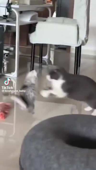 Never saw it coming