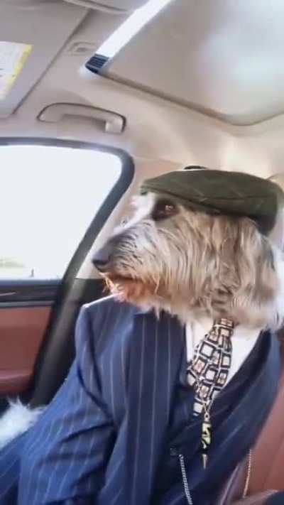 Barky Blinders