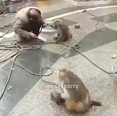 Eles evoluem mais rápido do que vc imagina