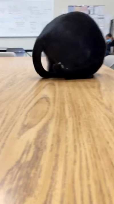 Which Sonic character is this?