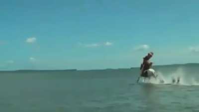 Onward! Noble Steed