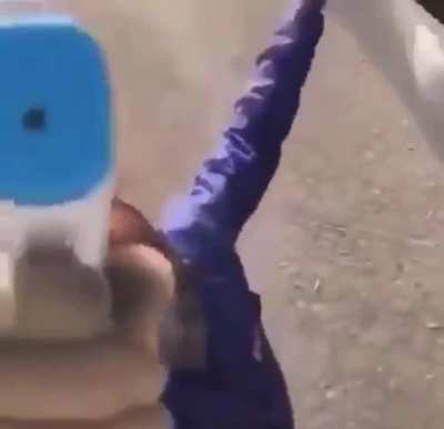 gun.mp4