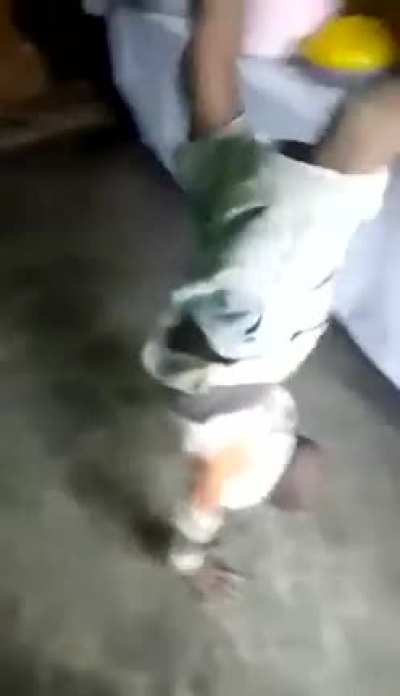 Maybe maybe maybe