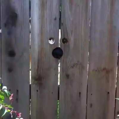 Catching the neighborhood 