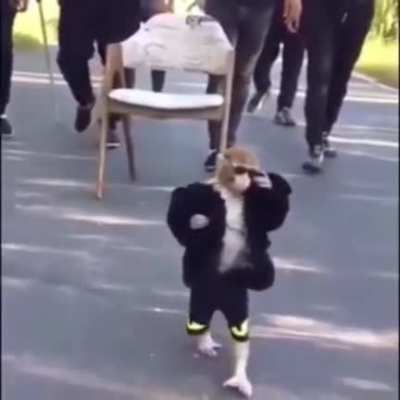 Monkey edit wooo