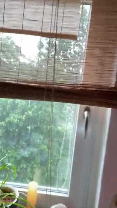 The view from my kitchen windows in Germany today.