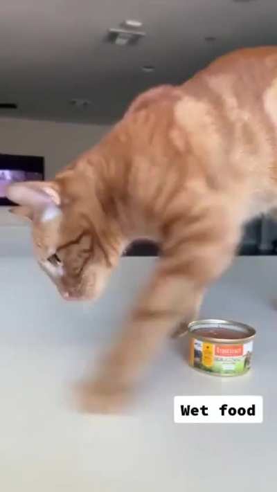 Критик