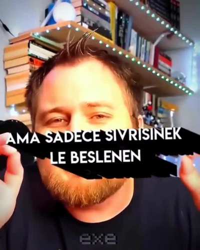Sinek