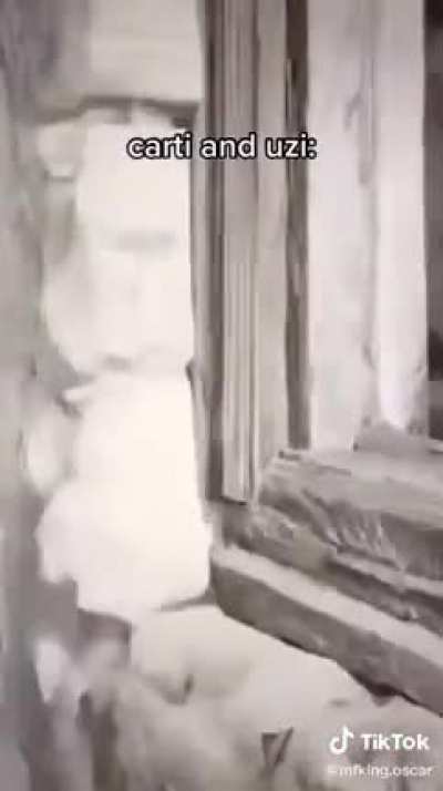 This shit funny af